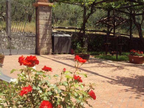 Bellaria Relais Bed & Breakfast Piano di Sorrento Exterior photo